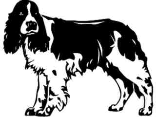  Dogs_ Springer Spaniel_ P A 1 Decal Proportional