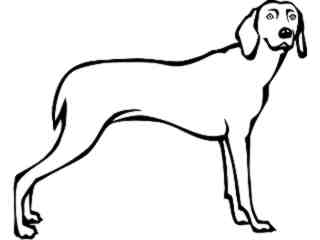  Dogs_ Weimaraner_ P A 1 Decal Proportional