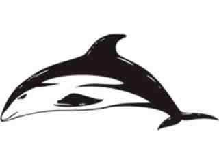  Dolphin_ 1 1 7a Decal Proportional