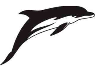  Dolphin_ 1 1 8a Decal Proportional