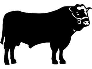  Domestic Animals_ Bull 0 2_ P A 1 Decal Proportional