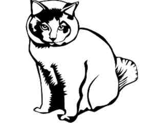  Domestic Animals_ Cat D R_ P A 1 Decal Proportional