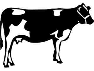  Domestic Animals_ Cow 0 2_ P A 1 Decal Proportional