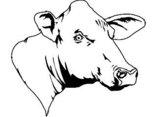  Domestic Animals_ Cow Head T G_ P A 1 Decal Proportional