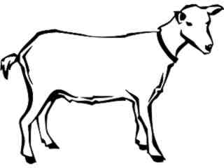  Domestic Animals_ Goat_ P A 1 Decal Proportional