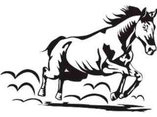  Domestic Animals_ Horse 0 2 D R_ P A 1 Decal Proportional
