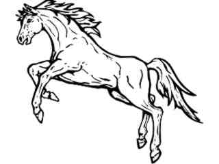  Domestic Animals_ Horse Rearing M G_ P A 1 Decal Proportional