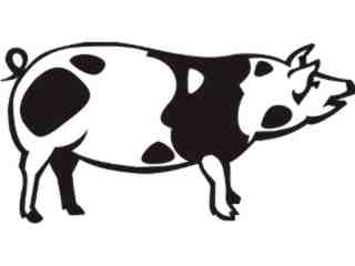  Domestic Animals_ Pig 0 1_ P A 1 Decal Proportional