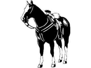  Domestic Animals_ Standing Horse D R_ P A 1 Decal Proportional