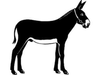  Donke Mule_ 1 3 4_ V A 1 Decal Proportional