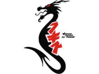  Dragon Power Chino_ G D 1 Decal Proportional