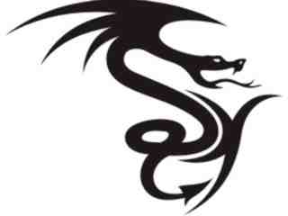  Dragon Tribalized_ 2 4 8 Decal Proportional