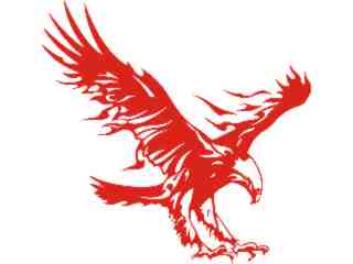  Eagle Body Flaming_ 0 1_ E F 1 Decal Proportional