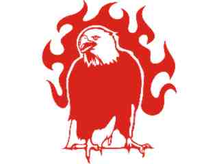  Eagle Body Flaming_ 0 4_ E F 1 Decal Proportional