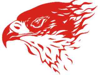  Eagle Flame Head_ 0 3_ E F 1 Decal Proportional