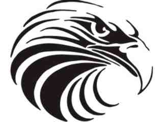  Eagle Head 7 Decal Proportional
