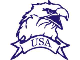  Eagle U S A 1 Decal Proportional