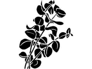  Eucalyptus_ 1 5 4_ V A 1 Decal Proportional