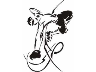  Extreme Sports 1_ 0 0 4 2 Decal Proportional