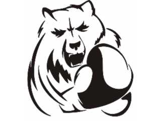  Extreme Sports 1_ 0 0 9 5 Decal Proportional