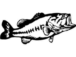  Fish Bass 3 Decal Proportional