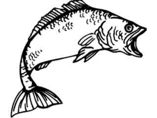  Fish Bass 6 Decal Proportional