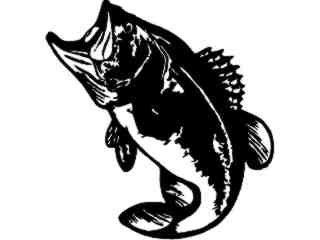  Fish Bass Big Mouth Decal Proportional