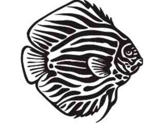  Fish Beauty Stripe Decal Proportional