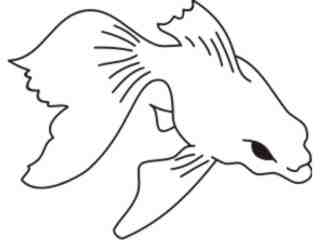  Fish_ 0 0 1 0 Decal Proportional