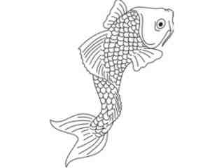  Fish_ 0 0 1 5 Decal Proportional