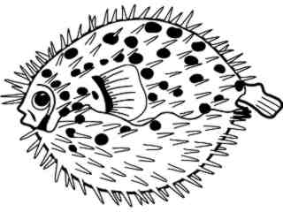  Fish_ Balloon Fish T G_ P A 1_ D T L Decal Proportional