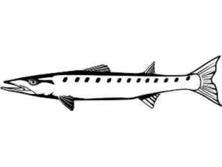  Fish_ Barracuda T G_ P A 1 Decal Proportional