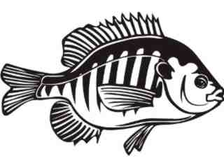  Fish_ Blue Gill_ P A 1 Decal Proportional