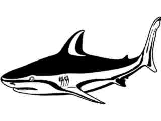  Fish_ Bull Shark T G_ P A 1 Decal Proportional