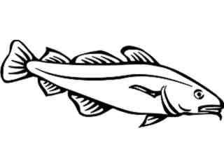  Fish_ Codfish_ P A 1 Decal Proportional