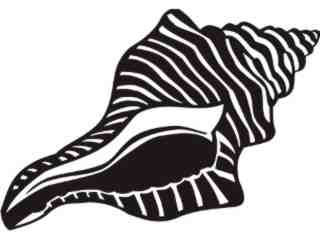  Fish_ Conch_ P A 1 Decal Proportional