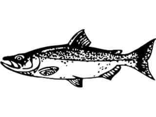  Fish_ Salmon_ P A 1 Decal Proportional