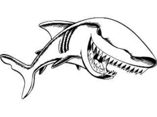  Fish_ Shark M G_ P A 1_ D T L Decal Proportional