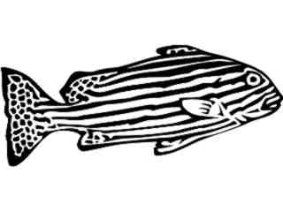 Fish_ Zebrafish_ P A 1 Decal Proportional