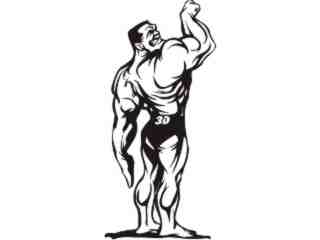  Fitness 1 5 8_ 3 D G Decal Proportional