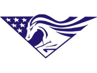  Flag Horse Decal Proportional