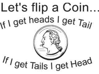  Flip Coin_ Heads Tails Decal Proportional