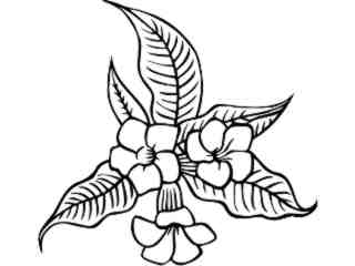  Flowers_ Allamanda_ 1 5 9_ V A 1 Decal Proportional