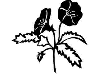  Flowers_ Baby Blue Eyes_ 1 5 6_ V A 1 Decal Proportional