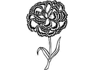  Flowers_ Carnation_ 1 5 9_ V A 1 Decal Proportional