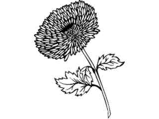  Flowers_ Dahlia_ 1 5 9_ V A 1 Decal Proportional