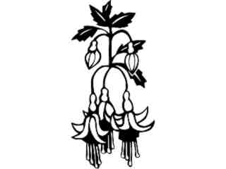  Flowers_ Fushia_ 1 5 5_ V A 1 Decal Proportional