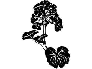  Flowers_ Geranium_ 1 5 5_ V A 1 Decal Proportional