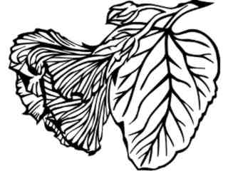  Flowers_ Hibiscus_ 1 5 9_ V A 1 Decal Proportional