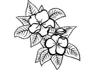  Flowers_ Impatiens_ 1 5 9_ V A 1 Decal Proportional